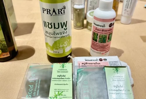 แชมพูสมุนไพรขิง_เภสัชกร_ผู้ประกอบการเวชสำอางค์_อาจารย์ฝน_martech